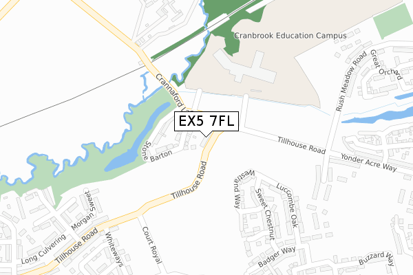 EX5 7FL map - large scale - OS Open Zoomstack (Ordnance Survey) EX5 7FL map - large scale - OS Open Zoomstack (Ordnance Survey)