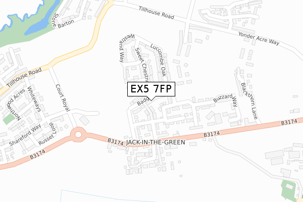 EX5 7FP map - large scale - OS Open Zoomstack (Ordnance Survey)