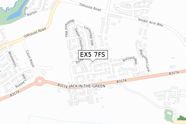 EX5 7FS map - large scale - OS Open Zoomstack (Ordnance Survey)