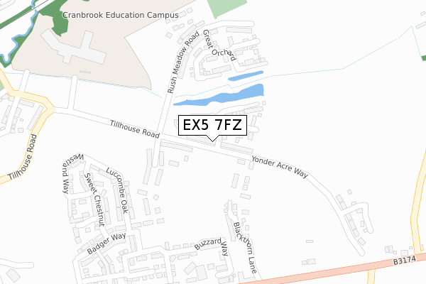 EX5 7FZ map - large scale - OS Open Zoomstack (Ordnance Survey) EX5 7FZ map - large scale - OS Open Zoomstack (Ordnance Survey)