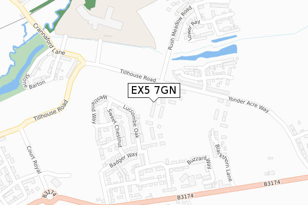 EX5 7GN map - large scale - OS Open Zoomstack (Ordnance Survey)