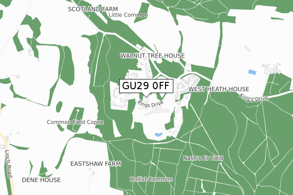 GU29 0FF map - small scale - OS Open Zoomstack (Ordnance Survey)