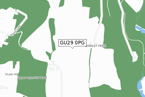 GU29 0PG map - large scale - OS Open Zoomstack (Ordnance Survey)