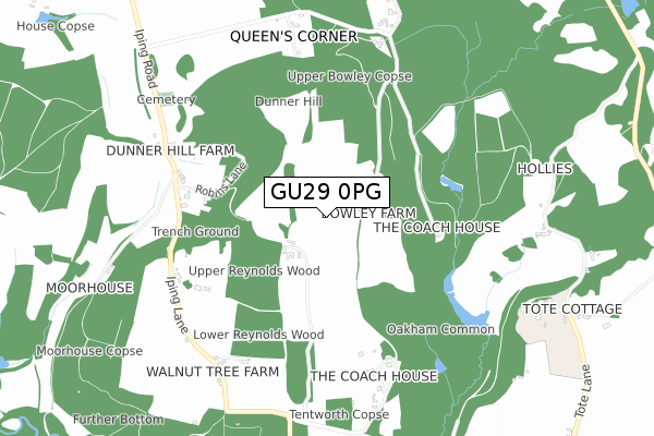 GU29 0PG map - small scale - OS Open Zoomstack (Ordnance Survey)