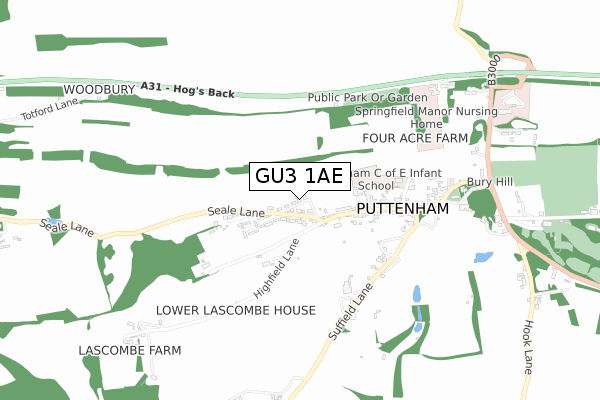 GU3 1AE map - small scale - OS Open Zoomstack (Ordnance Survey)