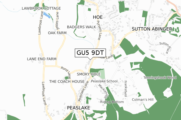 GU5 9DT map - small scale - OS Open Zoomstack (Ordnance Survey) GU5 9DT map - small scale - OS Open Zoomstack (Ordnance Survey)