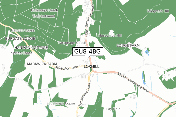 GU8 4BG map - small scale - OS Open Zoomstack (Ordnance Survey)