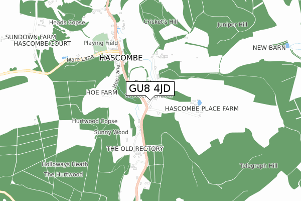 GU8 4JD map - small scale - OS Open Zoomstack (Ordnance Survey)