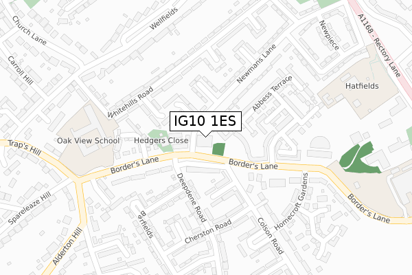 IG10 1ES map - large scale - OS Open Zoomstack (Ordnance Survey)