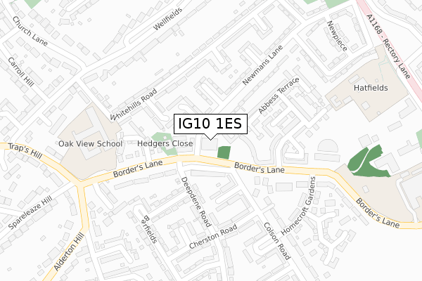 IG10 1ES map - large scale - OS Open Zoomstack (Ordnance Survey) IG10 1ES map - large scale - OS Open Zoomstack (Ordnance Survey)