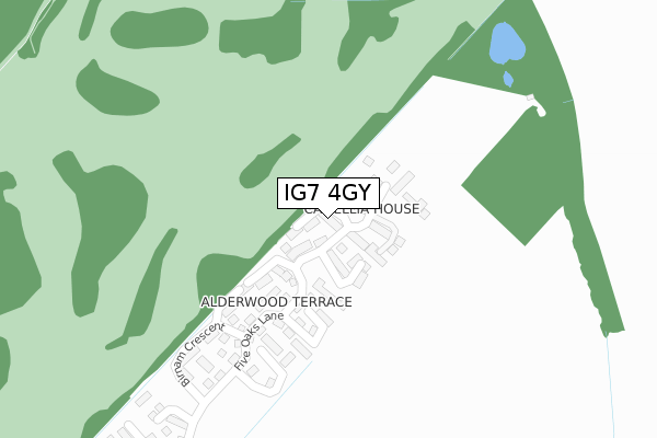 IG7 4GY map - large scale - OS Open Zoomstack (Ordnance Survey) IG7 4GY map - large scale - OS Open Zoomstack (Ordnance Survey)