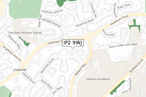 IP2 9WJ map - large scale - OS Open Zoomstack (Ordnance Survey)