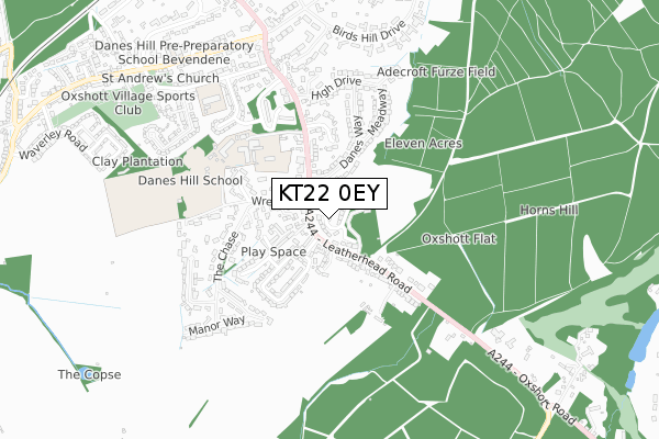 KT22 0EY map - small scale - OS Open Zoomstack (Ordnance Survey)