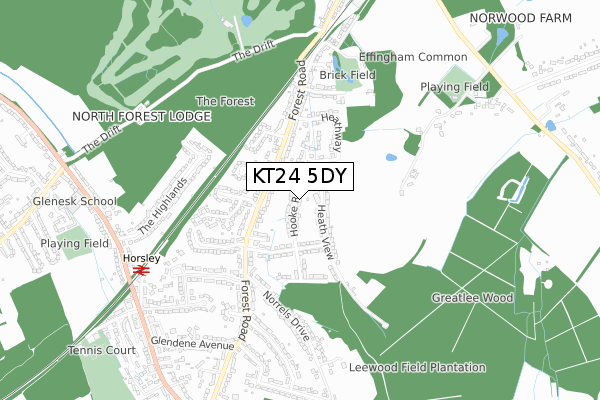 KT24 5DY map - small scale - OS Open Zoomstack (Ordnance Survey)