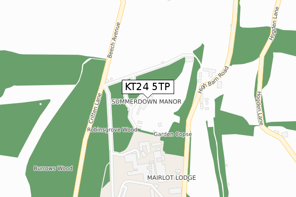 KT24 5TP map - large scale - OS Open Zoomstack (Ordnance Survey) KT24 5TP map - large scale - OS Open Zoomstack (Ordnance Survey)