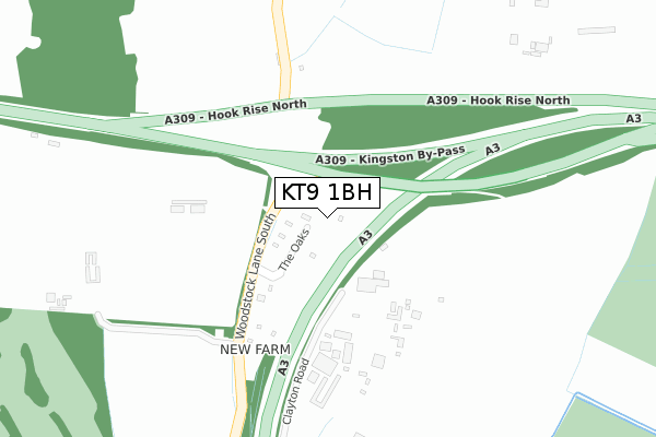 KT9 1BH map - large scale - OS Open Zoomstack (Ordnance Survey)