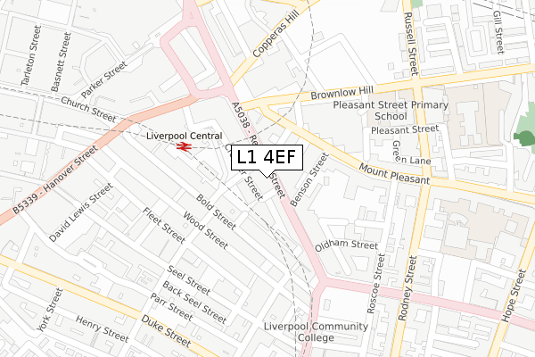 L1 4EF map - large scale - OS Open Zoomstack (Ordnance Survey)