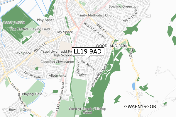 LL19 9AD map - small scale - OS Open Zoomstack (Ordnance Survey)