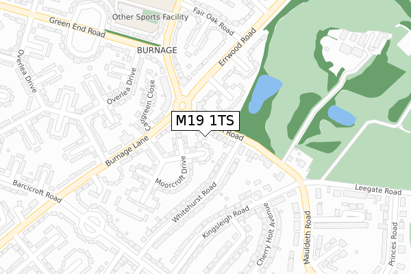 M19 1TS map - large scale - OS Open Zoomstack (Ordnance Survey)
