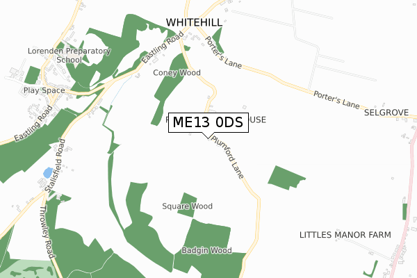 ME13 0DS map - small scale - OS Open Zoomstack (Ordnance Survey)