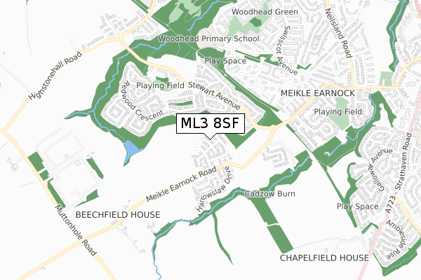 ML3 8SF map - small scale - OS Open Zoomstack (Ordnance Survey)