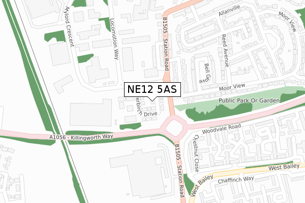 NE12 5AS map - large scale - OS Open Zoomstack (Ordnance Survey)