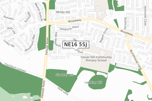 NE16 5SJ map - large scale - OS Open Zoomstack (Ordnance Survey)
