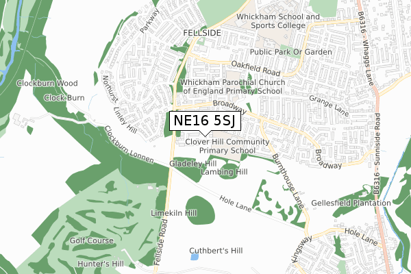 NE16 5SJ map - small scale - OS Open Zoomstack (Ordnance Survey)