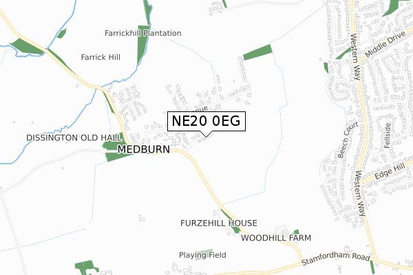 NE20 0EG map - small scale - OS Open Zoomstack (Ordnance Survey)