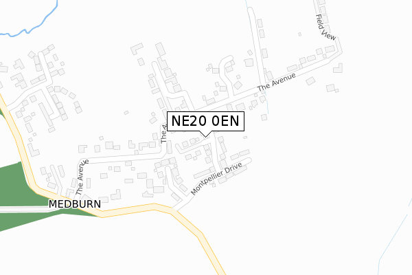 NE20 0EN map - large scale - OS Open Zoomstack (Ordnance Survey)