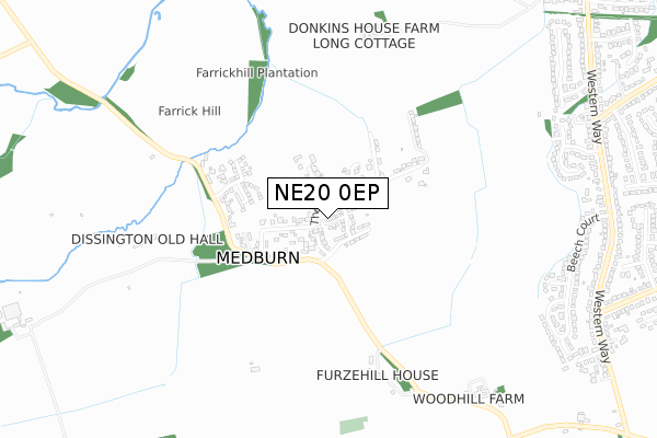 NE20 0EP map - small scale - OS Open Zoomstack (Ordnance Survey)