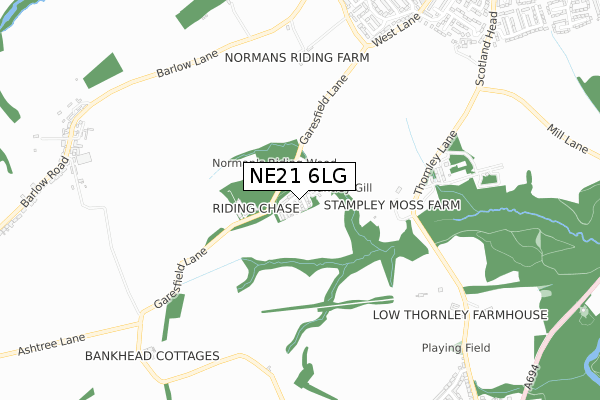 NE21 6LG map - small scale - OS Open Zoomstack (Ordnance Survey)
