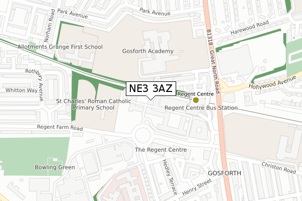NE3 3AZ map - large scale - OS Open Zoomstack (Ordnance Survey) NE3 3AZ map - large scale - OS Open Zoomstack (Ordnance Survey)