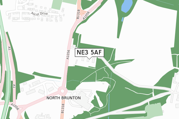 NE3 5AF map - large scale - OS Open Zoomstack (Ordnance Survey)