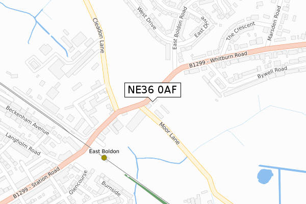 NE36 0AF map - large scale - OS Open Zoomstack (Ordnance Survey)