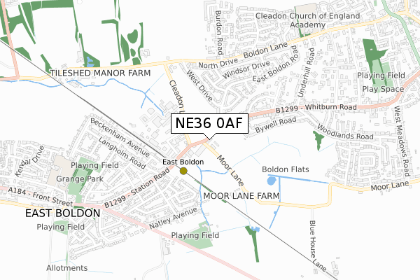 NE36 0AF map - small scale - OS Open Zoomstack (Ordnance Survey)