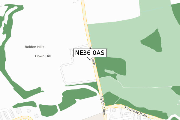NE36 0AS map - large scale - OS Open Zoomstack (Ordnance Survey)