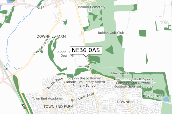 NE36 0AS map - small scale - OS Open Zoomstack (Ordnance Survey)