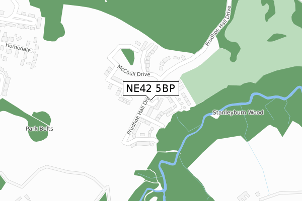 NE42 5BP map - large scale - OS Open Zoomstack (Ordnance Survey)