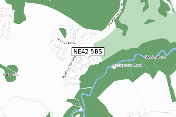 NE42 5BS map - large scale - OS Open Zoomstack (Ordnance Survey)