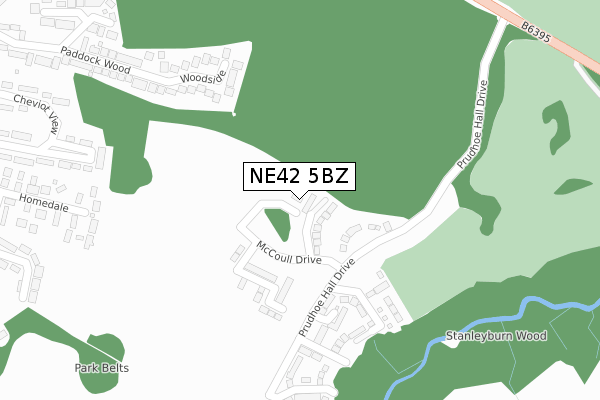 NE42 5BZ map - large scale - OS Open Zoomstack (Ordnance Survey)
