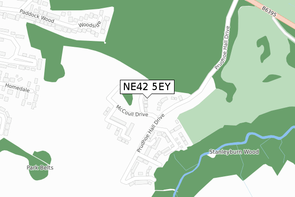 NE42 5EY map - large scale - OS Open Zoomstack (Ordnance Survey)