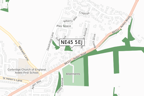 NE45 5EJ map - large scale - OS Open Zoomstack (Ordnance Survey)