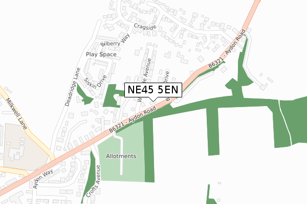 NE45 5EN map - large scale - OS Open Zoomstack (Ordnance Survey)