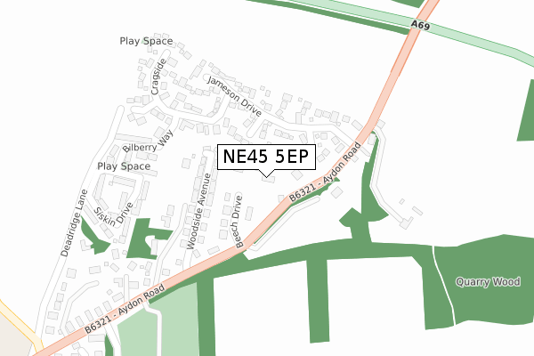 NE45 5EP map - large scale - OS Open Zoomstack (Ordnance Survey)