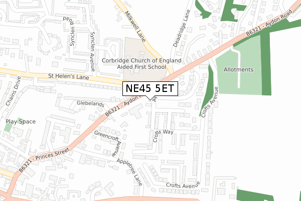 NE45 5ET map - large scale - OS Open Zoomstack (Ordnance Survey)