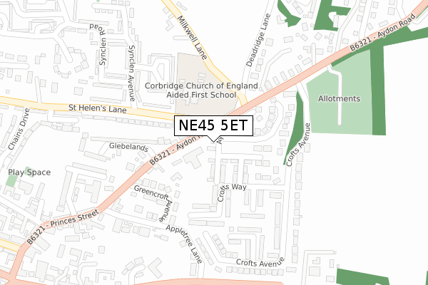 NE45 5ET map - large scale - OS Open Zoomstack (Ordnance Survey) NE45 5ET map - large scale - OS Open Zoomstack (Ordnance Survey)