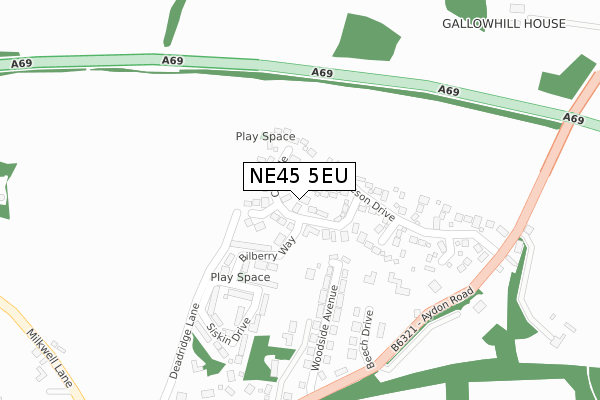 NE45 5EU map - large scale - OS Open Zoomstack (Ordnance Survey)