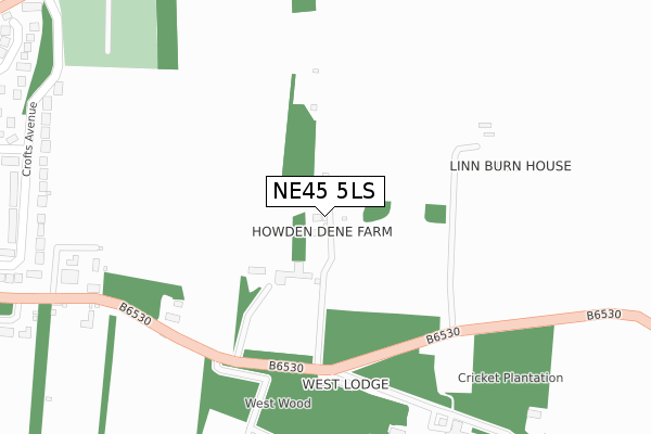 NE45 5LS map - large scale - OS Open Zoomstack (Ordnance Survey)