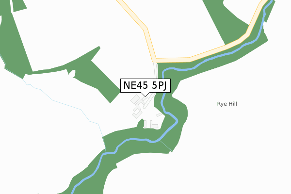 NE45 5PJ map - large scale - OS Open Zoomstack (Ordnance Survey)
